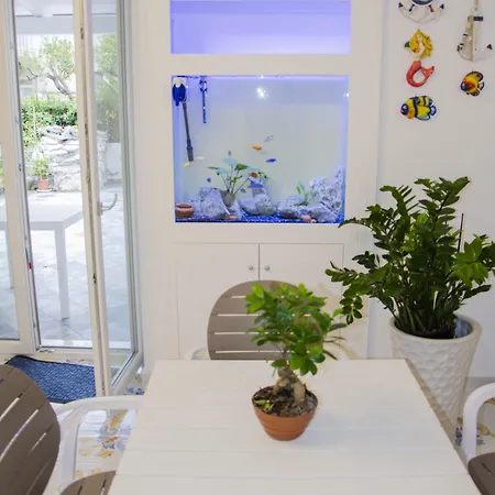 Praja Vecchia Frühstückspension