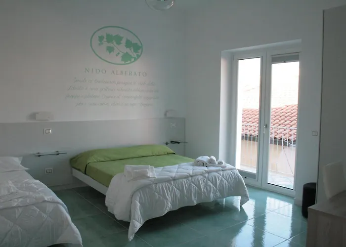 Praja Vecchia 4* 普拉亚·阿马勒