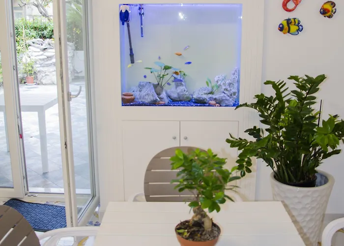 Praja Vecchia 住宿加早餐酒店